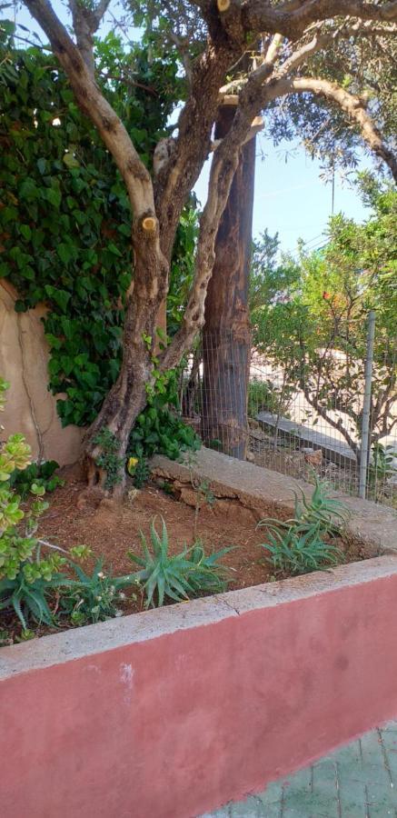 Ammos Appartement